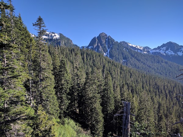 Packwood 3