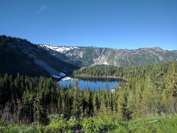 Packwood 2