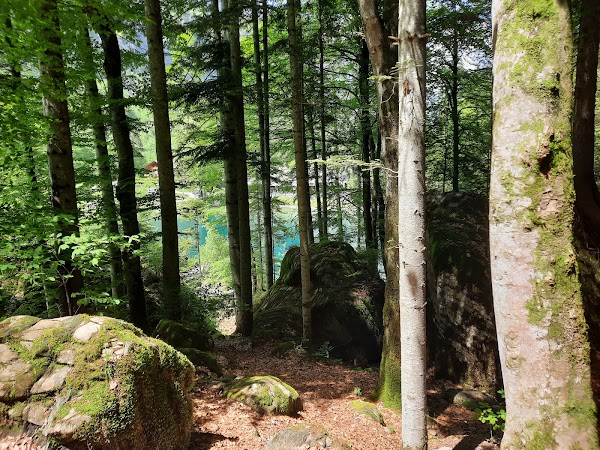 Blausee 4