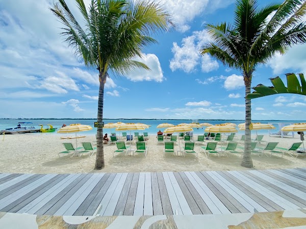 Coconut Club 3