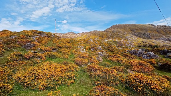 Wild Atlantic Way Discovery Point @Dooneen Scenic viewpoint 3
