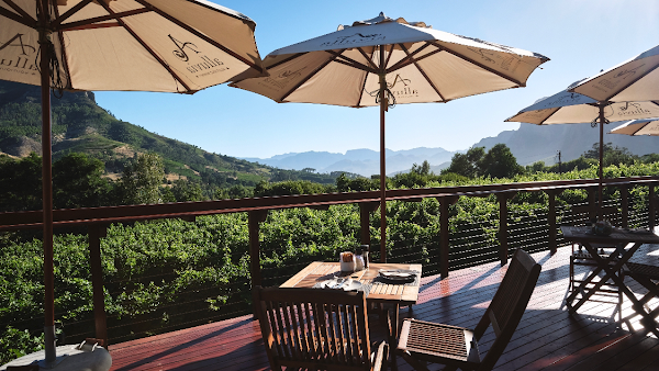 Alluvia Boutique Winery