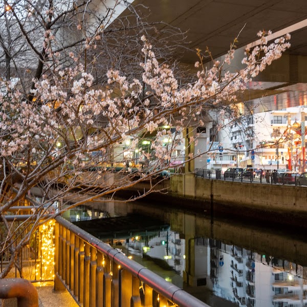 Yokohama Motomachi Shopping Street 2