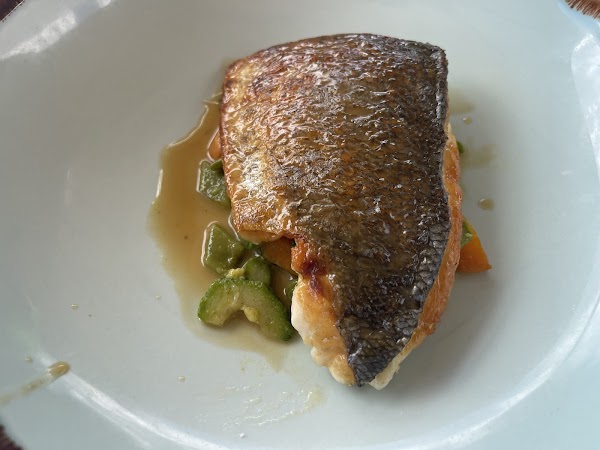 47 Circus Roof Garden 4