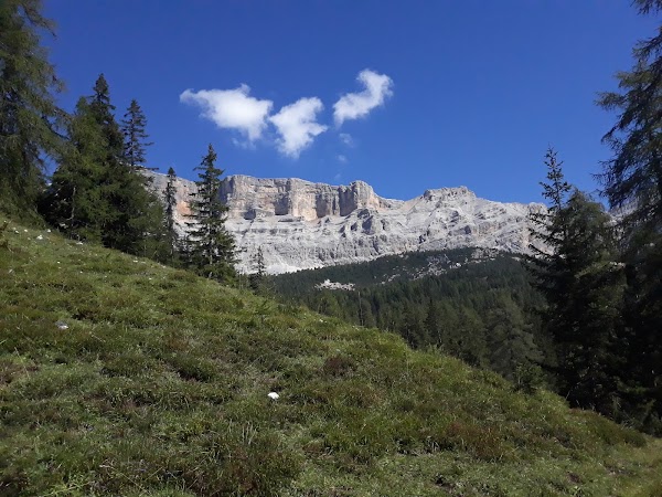 Badia 2