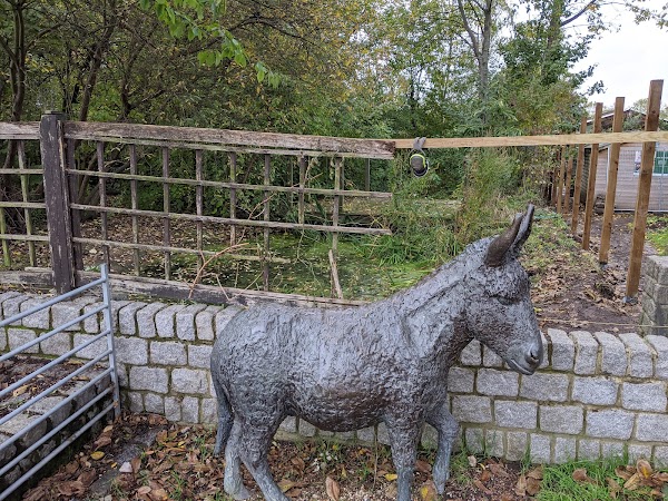 Surrey Docks Farm 5