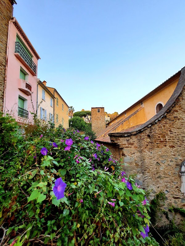 Le Lavandou 5