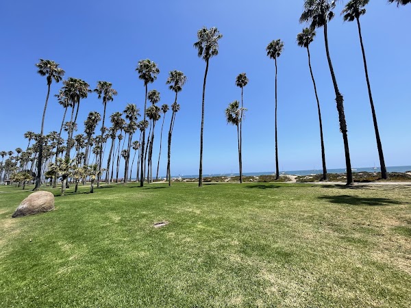 Chase Palm Park 5