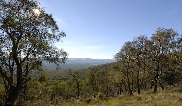 Bunyip State Park
