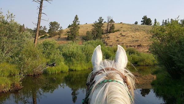 Beaver Meadows Stables 1