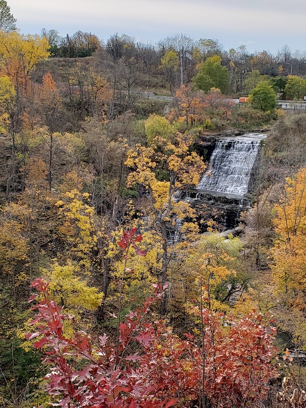 Hamilton falls 6