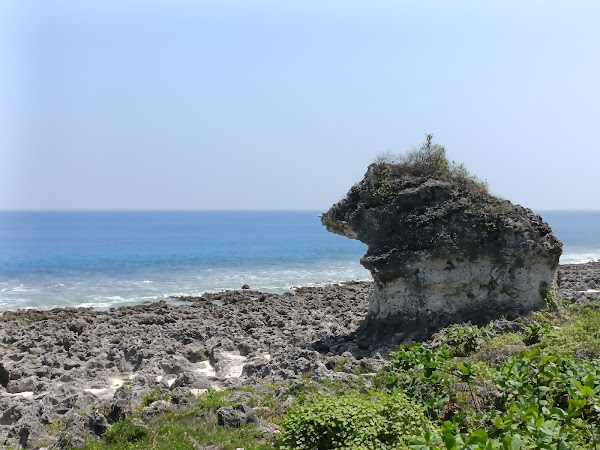 Frog Rock