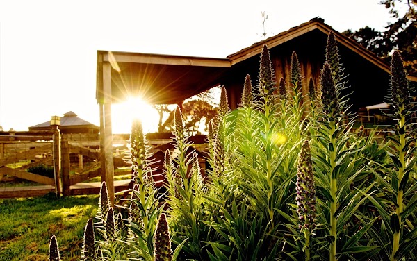 Stanford Inn & Resort on the Mendocino Coast