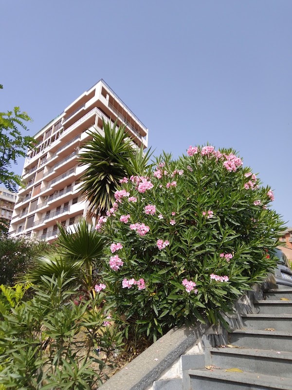 Ognina-Picanello 1
