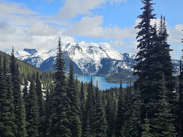 Rubble Creek Trailhead