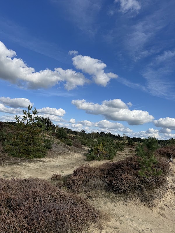 Drents-Friese Wold National Park 5