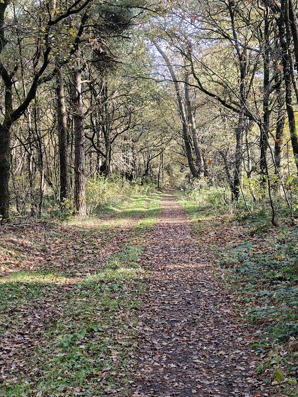 Drents-Friese Wold National Park 3