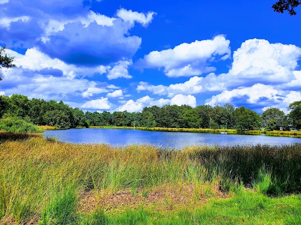 Drents-Friese Wold National Park 2