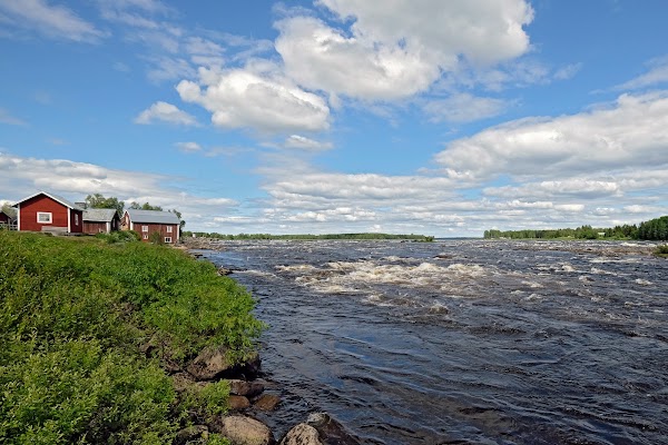 Kukkola