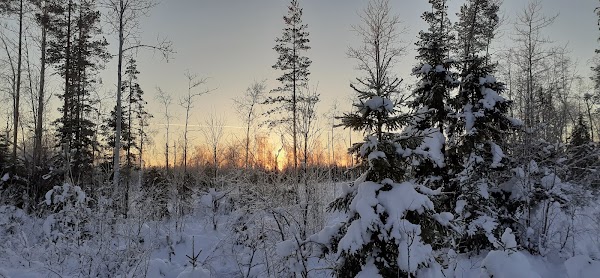 Kukkola 4