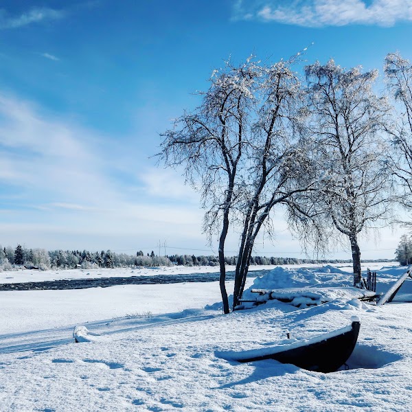 Kukkola 2