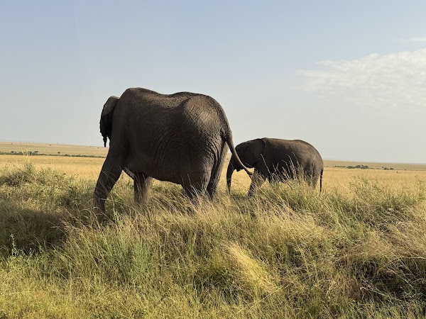 Maasai Mara National Reserve 4