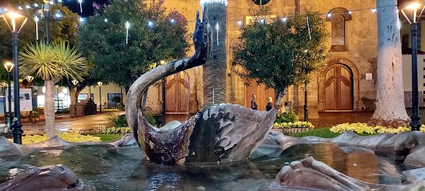 Puerto de la Cruz 4