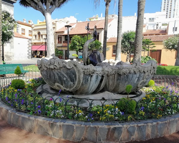 Puerto de la Cruz 3