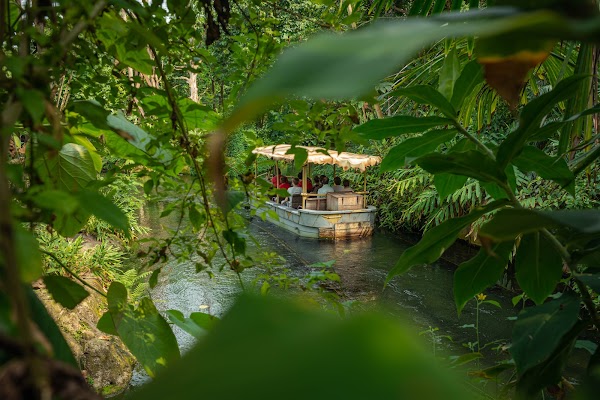 Wildlands 1
