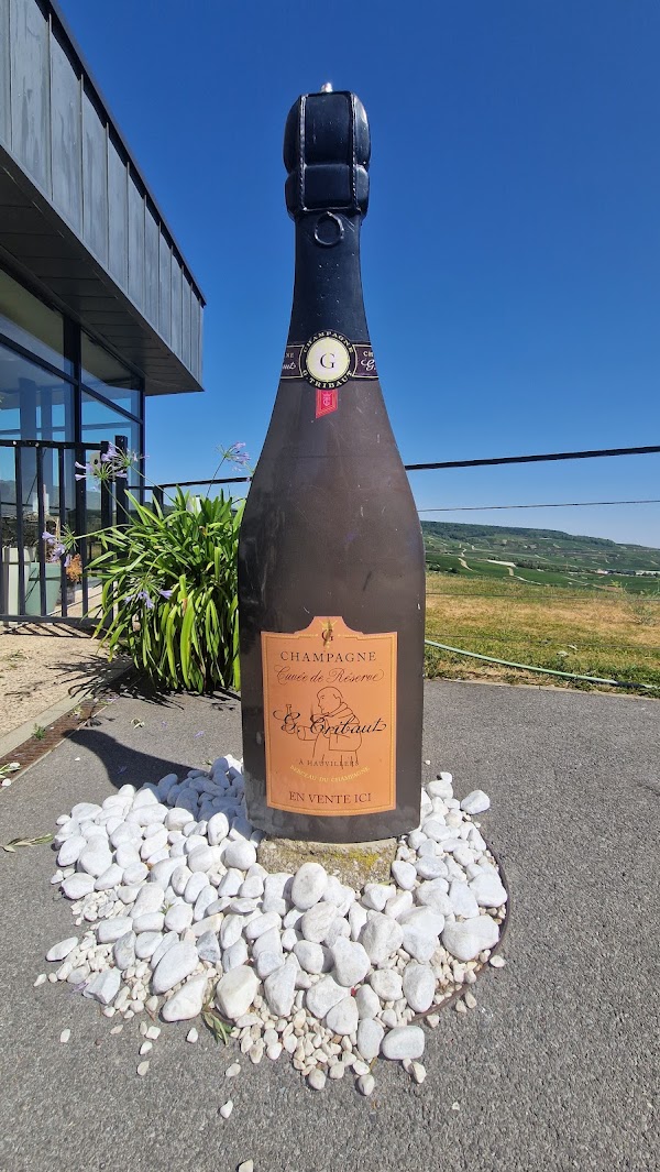 Champagne G.Tribaut à Hautvillers 1