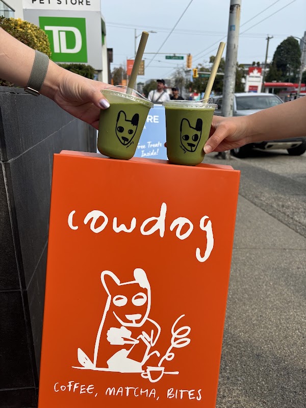 cowdog 3