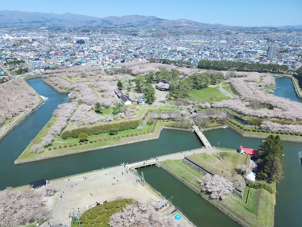 Goryōkaku Tower 4