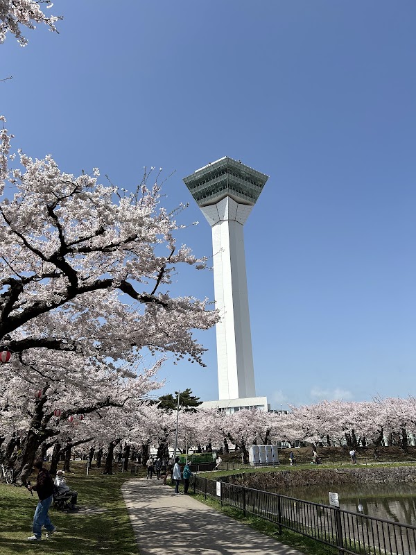 Goryōkaku Tower 3