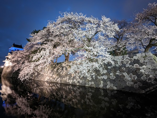 Toyama Castle Ruin Park 2