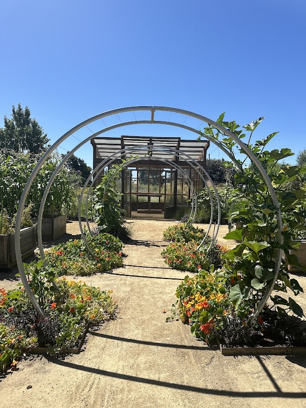 Cornerstone Sonoma 3