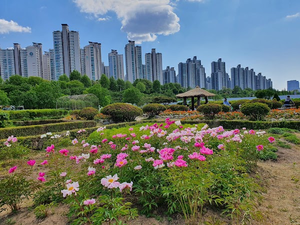 Jamsil Hangang Park 4