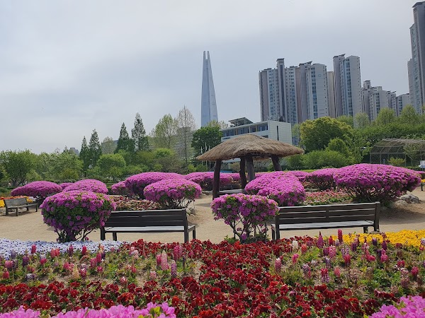 Jamsil Hangang Park 3