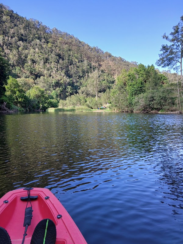Yabba Creek Farm (Hipcamp) 4