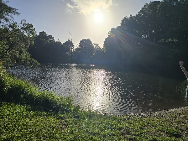 Yabba Creek Farm (Hipcamp) 2