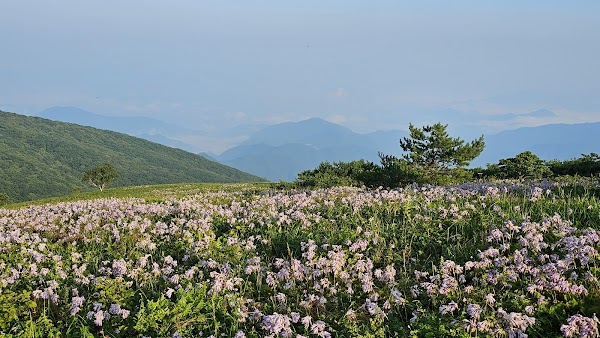 소백산국립공원 어의곡탐방지원센터