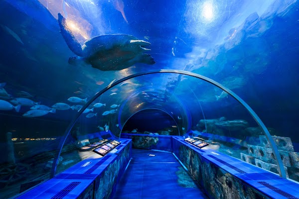 Shinagawa Aquarium 1