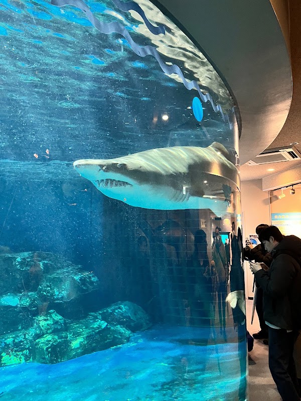 Shinagawa Aquarium 3