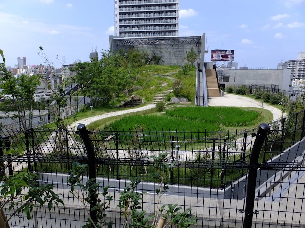 Meguro Sky Garden 1