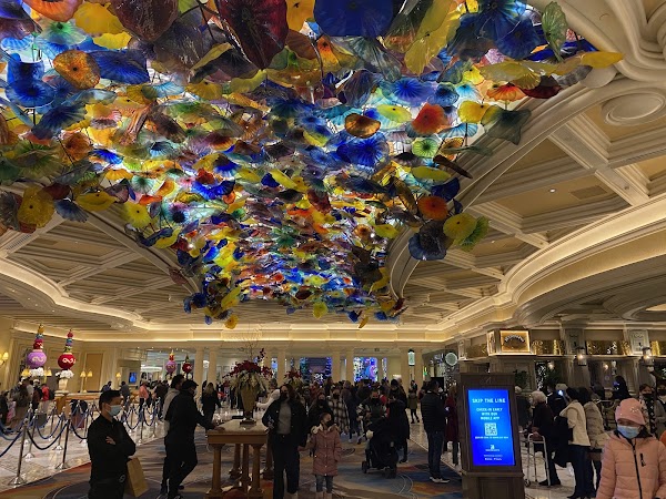 Fountains of Bellagio 4