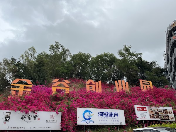 Jingu Pioneer Park 1