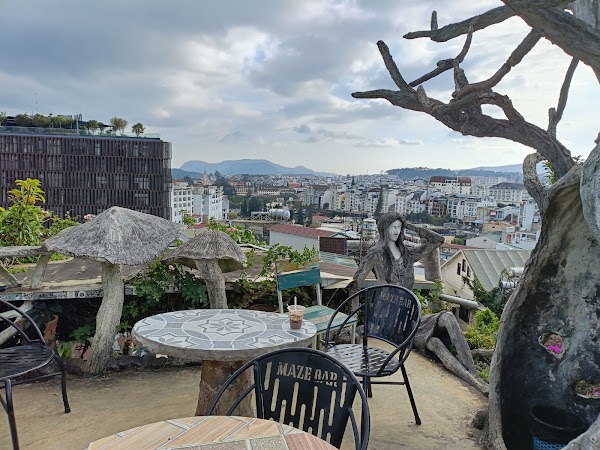 Maze Bar