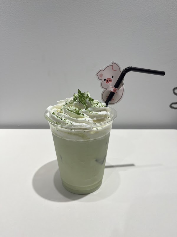 pignic cafe Asakusa【mini pig cafe】 5