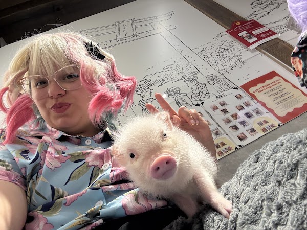 pignic cafe Asakusa【mini pig cafe】 2