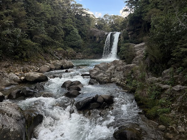 Tawhai Falls (Gollum's Pool) 1