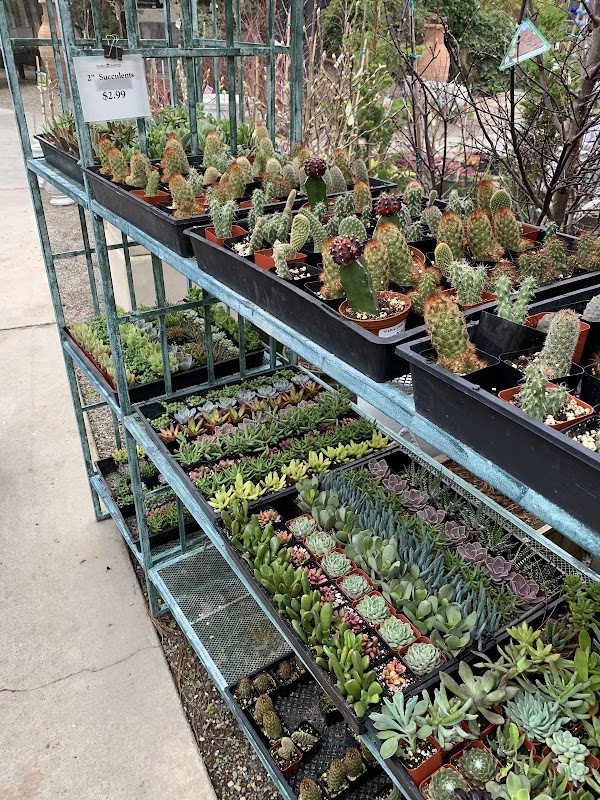 Roger's Gardens 4